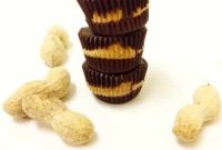 Wholesome Chia Peanut Butter Cups
