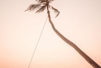 Sri Lanka: A Fortnight of Wonders