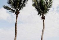 Tulum’s Gastronomic Gems: A Foodie’s Journey