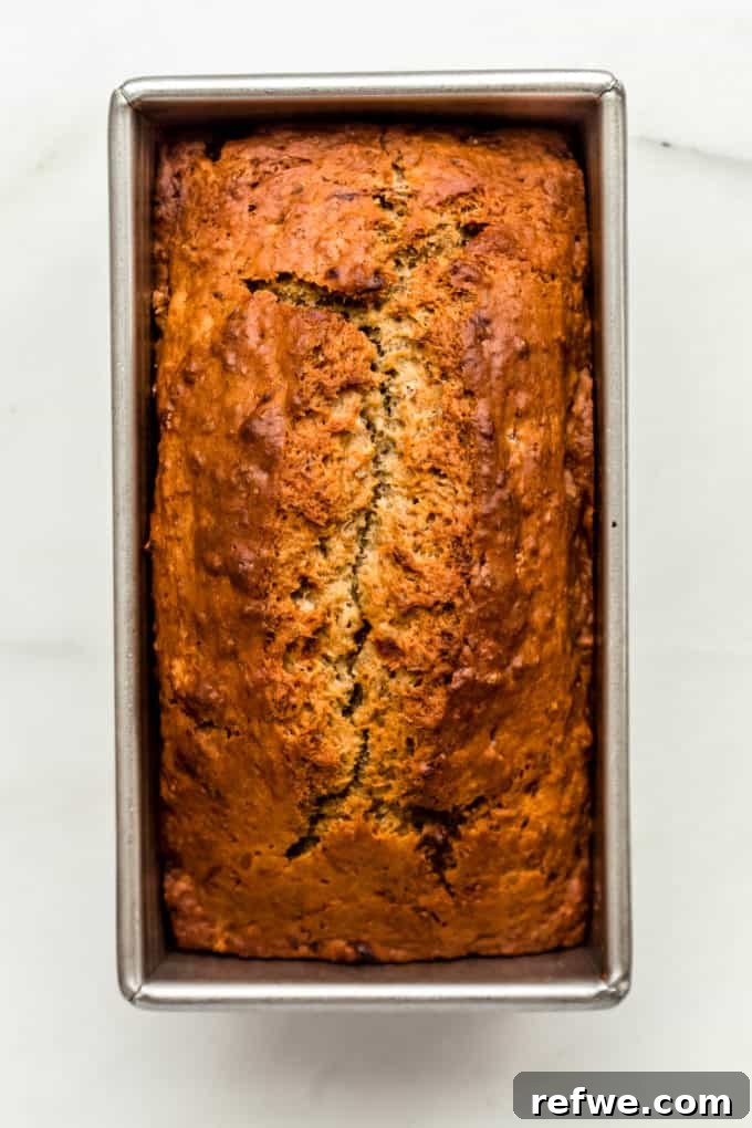 A beautifully baked banana bread in a loaf pan, golden brown and perfectly risen.