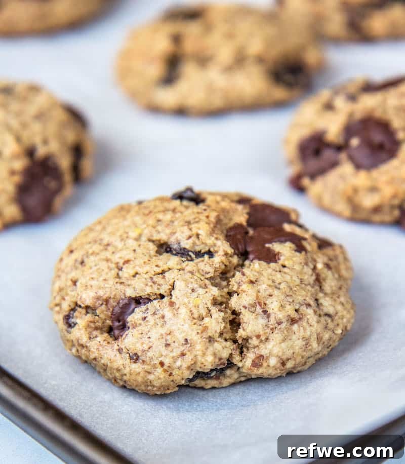 Sunrise Cookie Essentials 3 Close-up of a healthy oatmeal breakfast cookie
