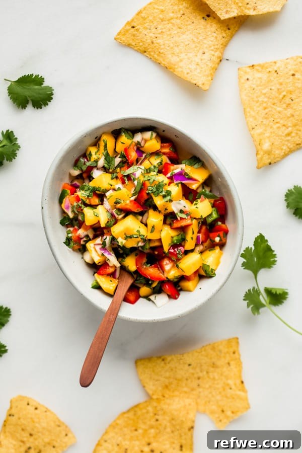 Ferah ve Pratik Mango Salsa 6 A beautifully presented bowl of mango salsa with tortilla chips and a garnish of fresh cilantro.