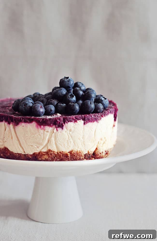 Effortless Oven-Free Sweet Treats 15 A beautiful raw vegan blueberry cheesecake, adorned with fresh blueberries, on a cake stand.
