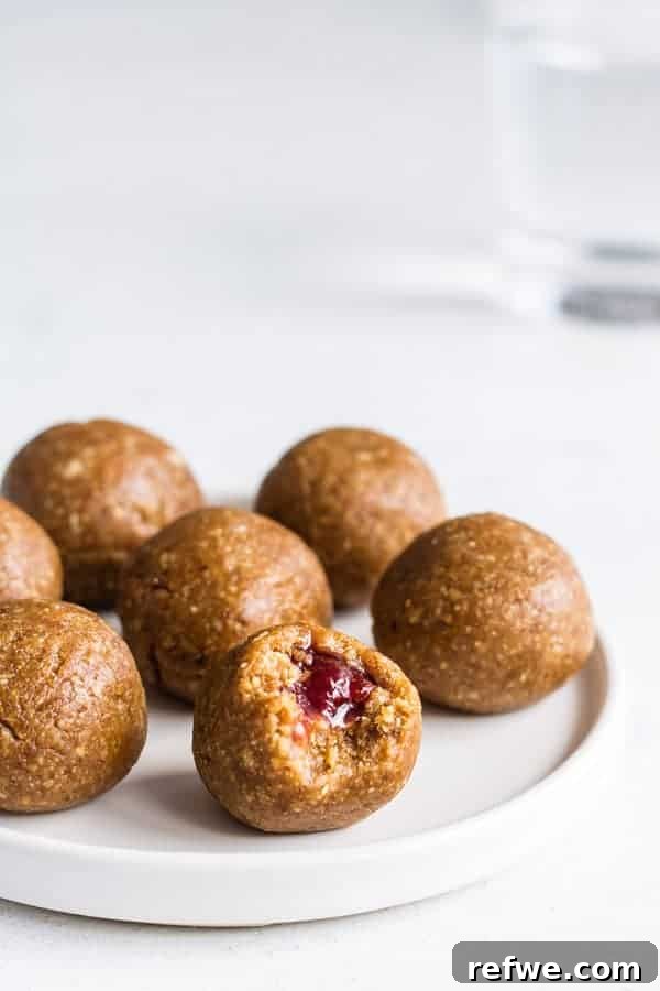 Mastering Plant-Based Protein 4 Peanut butter and jelly energy balls