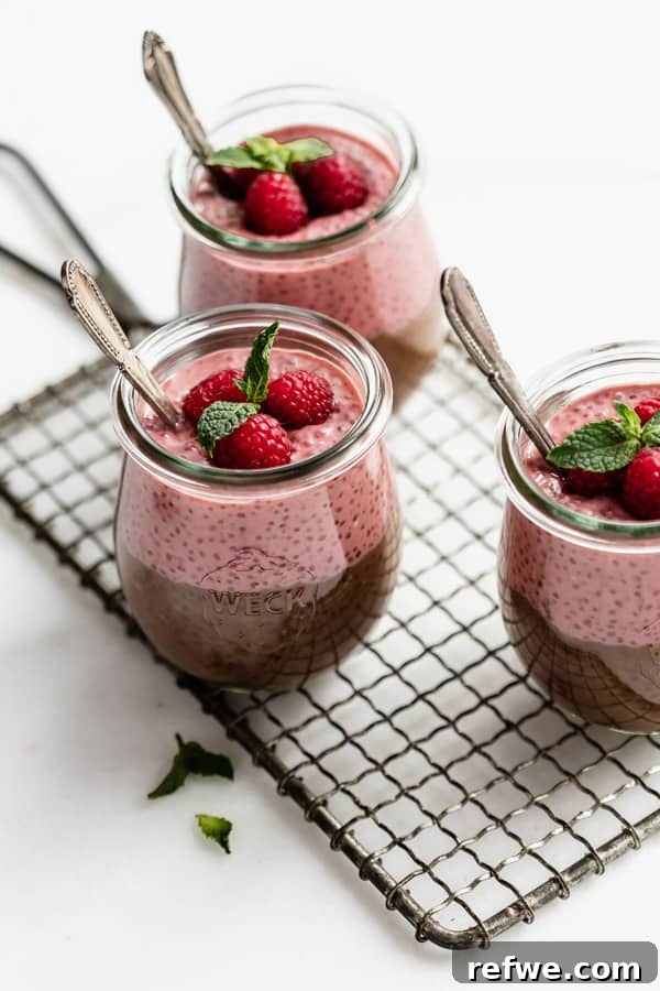 Decadent Chocolate Raspberry Chia Pudding 9 Three elegant jars of layered chocolate raspberry chia pudding displayed on a wire cooling rack, highlighting the distinct layers and inviting presentation.