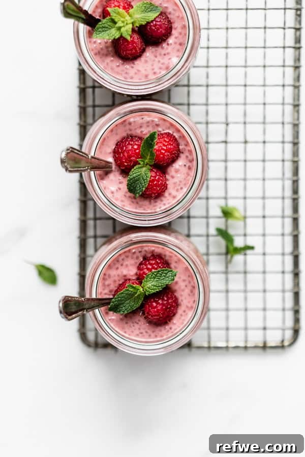Decadent Chocolate Raspberry Chia Pudding 10 A top-down view of three transparent jars showcasing beautiful raspberry chia pudding, elegantly topped with fresh raspberries and a delicate sprig of mint, emphasizing presentation.