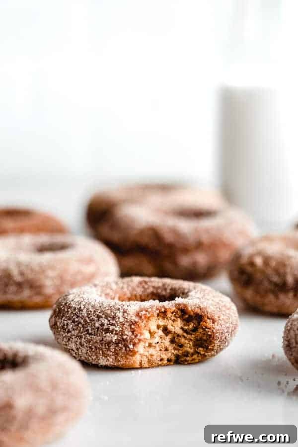 Warm Cinnamon Vegan Apple Cider Donuts 2 A delicious vegan apple cider donut covered in cinnamon sugar with a bite taken out of it, showcasing its fluffy interior.
