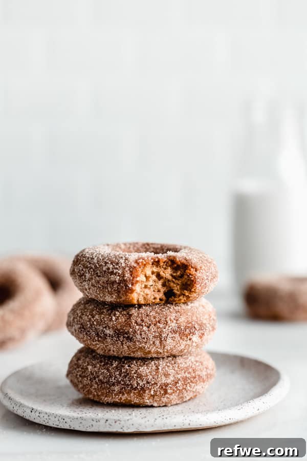 Warm Cinnamon Vegan Apple Cider Donuts 3 A stack of three perfectly baked vegan apple cider donuts coated in cinnamon sugar, resting on a rustic white speckled plate.