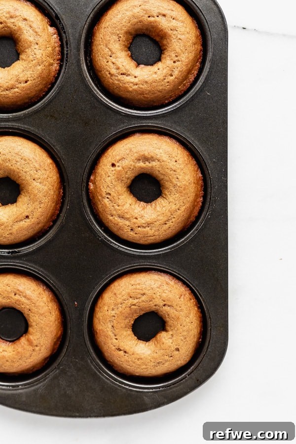 Warm Cinnamon Vegan Apple Cider Donuts 8 Freshly baked vegan apple cider donuts cooling in a donut pan, with a perfect golden-brown color.