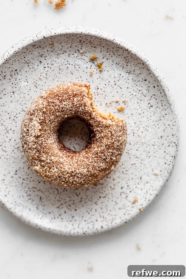 Warm Cinnamon Vegan Apple Cider Donuts 10 A single vegan apple cider donut with a bite taken out, resting on a white speckled plate, highlighting its tender crumb.