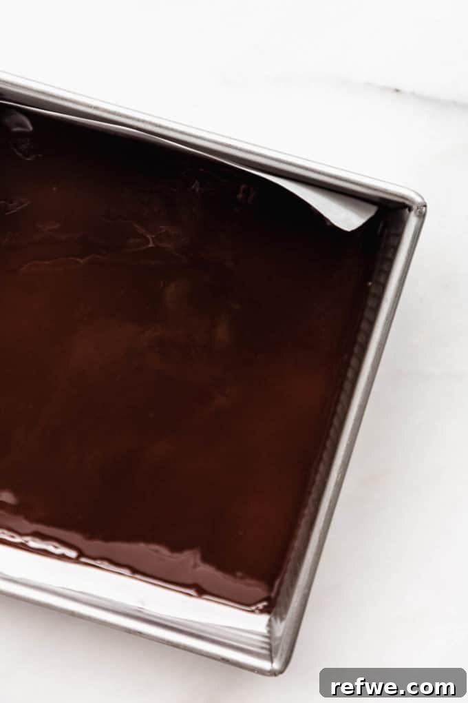 Decadent No-Bake Fudge Brownies 7 chocolate protein bars topped with melted dark chocolate.