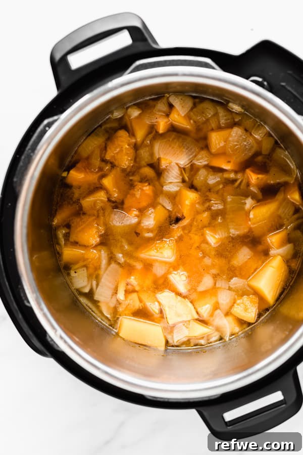 Golden Butternut Instant Pot Comfort 6 butternut squash and broth in an instant pot