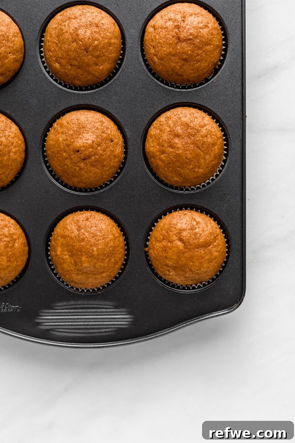 Cozy Vegan Pumpkin Spice Latte Cupcakes 4 Freshly baked vegan pumpkin cupcakes cooling in a baking pan