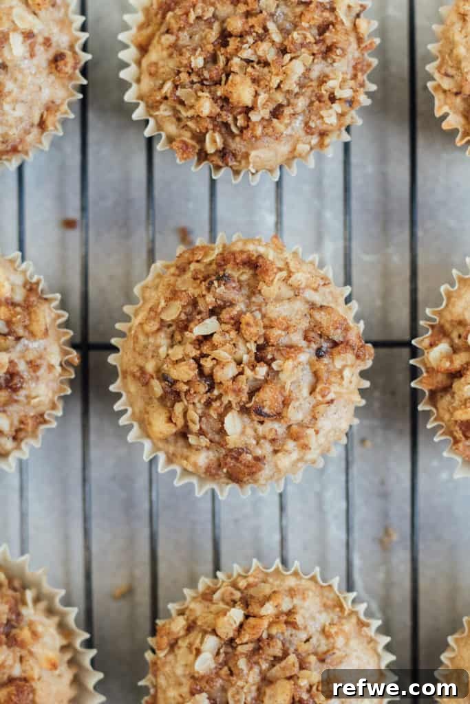 Comforting Vegan Apple Crumb Muffins 3 Close-up of a vegan apple crumb muffin, showing the moist interior and crumbly streusel.