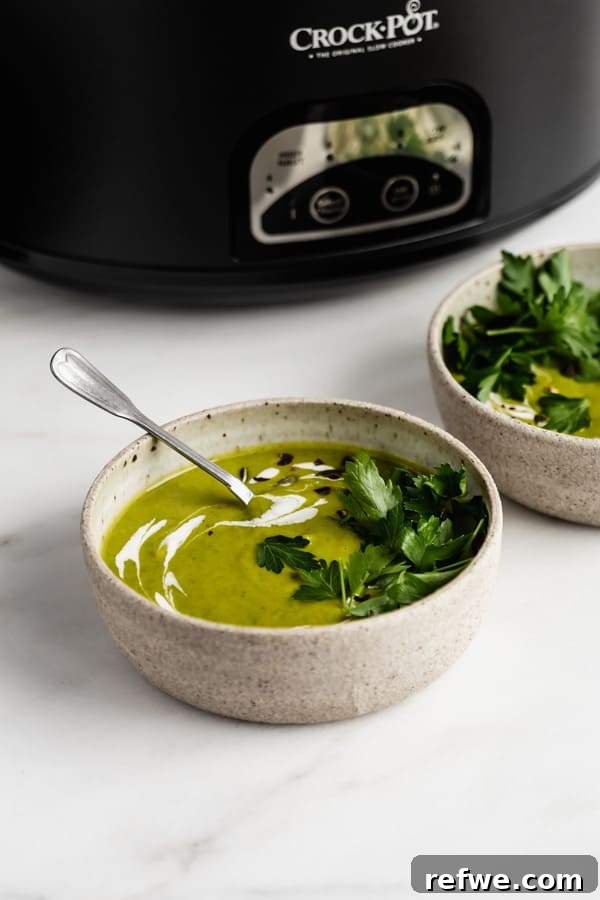 A steaming bowl of creamy broccoli soup, with a slow cooker visible in the soft-focus background, suggesting a home-cooked meal.