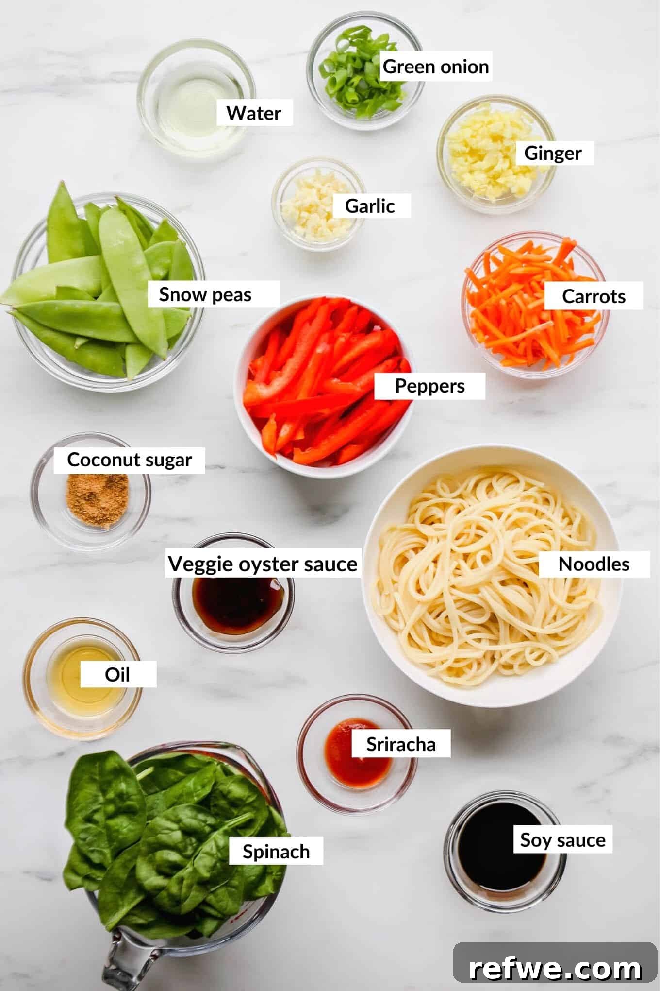 Quick Healthy Vegetable Lo Mein 3 A flat lay of ingredients to make vegetable lo mein