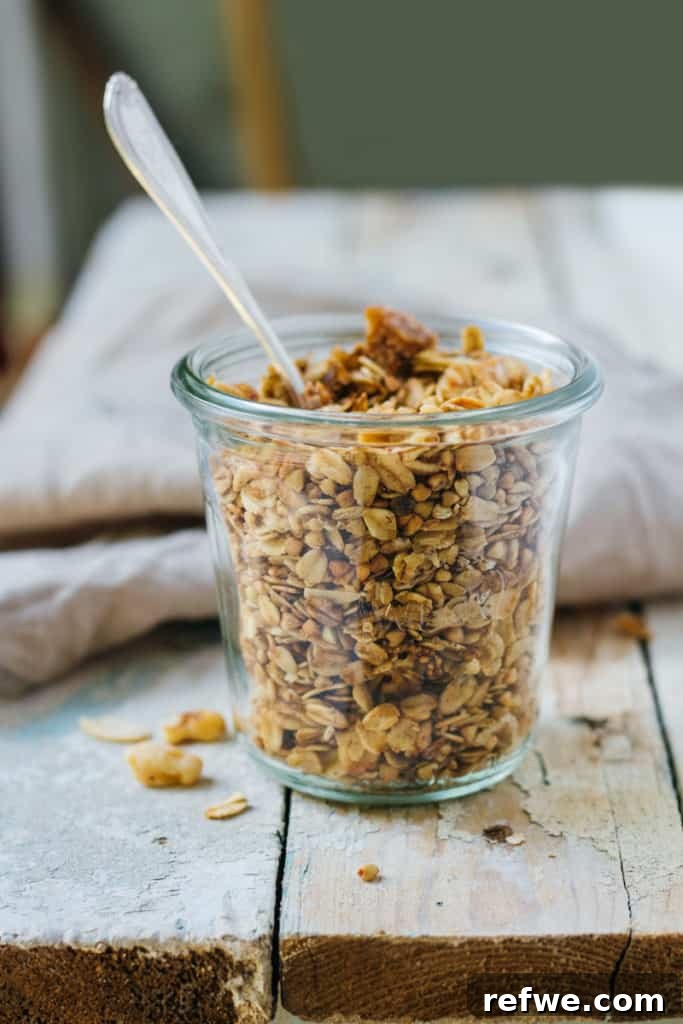 Artisan Fig and Walnut Granola 2 Delicious fig and walnut granola in a bowl, ready to be served