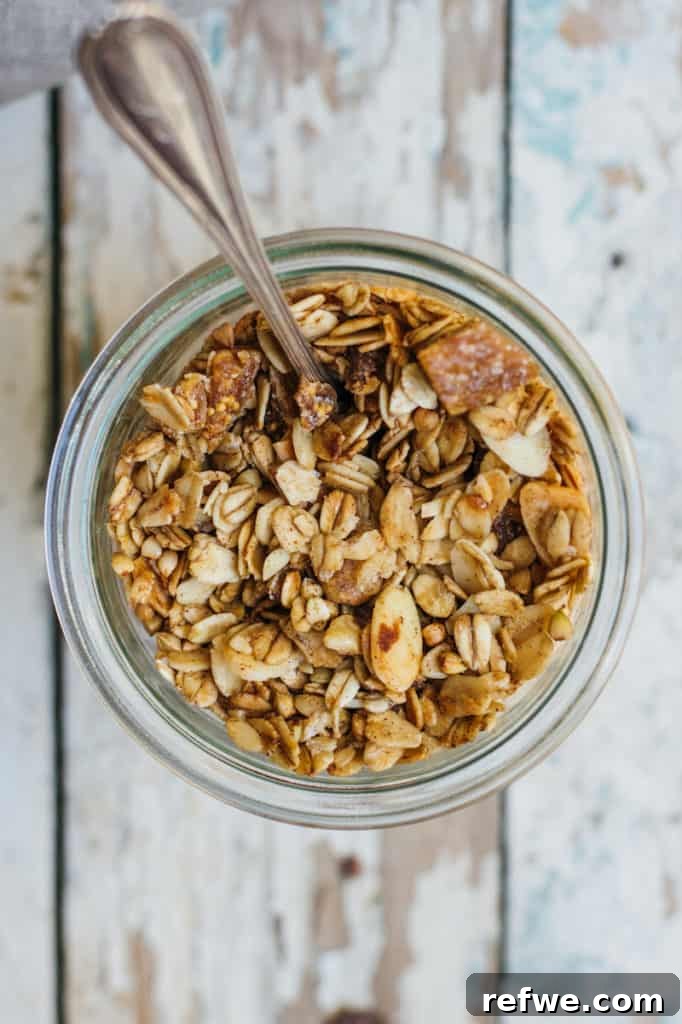 Artisan Fig and Walnut Granola 3 Close-up shot of fig and walnut granola, showing texture and ingredients