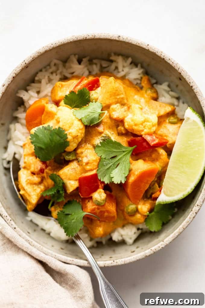 A vibrant bowl of vegetable korma served with fluffy white rice, garnished with fresh cilantro.