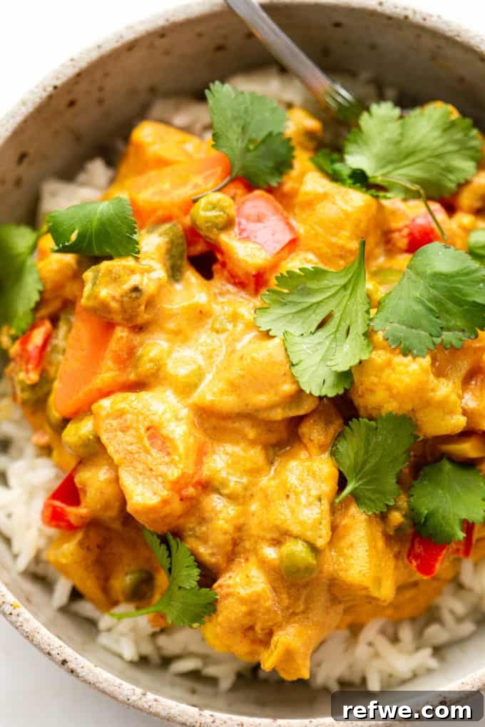 Close-up of a bowl of vegetable korma served over rice, invitingly ready to eat.