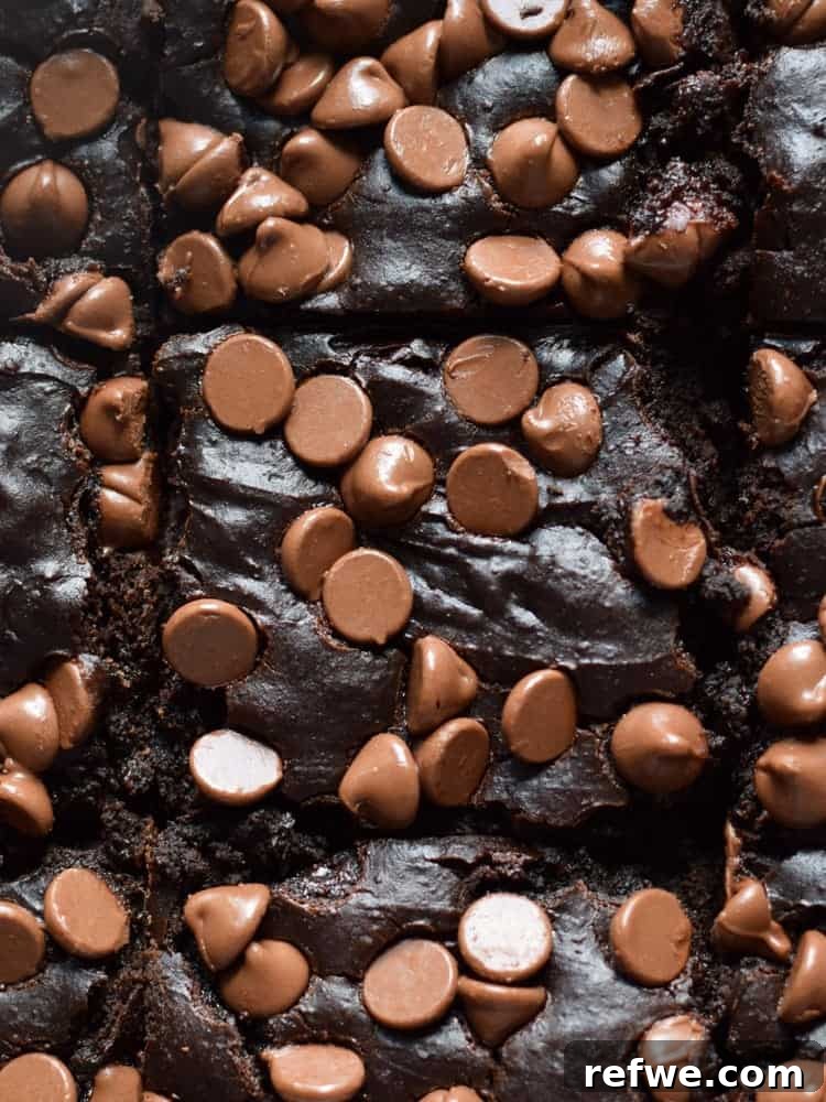 21 Amazing Meals from a Single Can of Beans 21 Fudgy black bean brownies topped with milk chocolate chips, cut into squares
