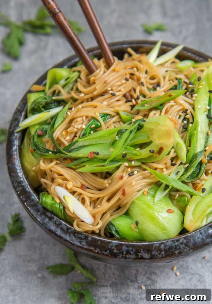 A beautifully presented dish of Sesame Ginger Noodles, garnished with fresh herbs and sesame seeds, highlighting their healthy appeal.