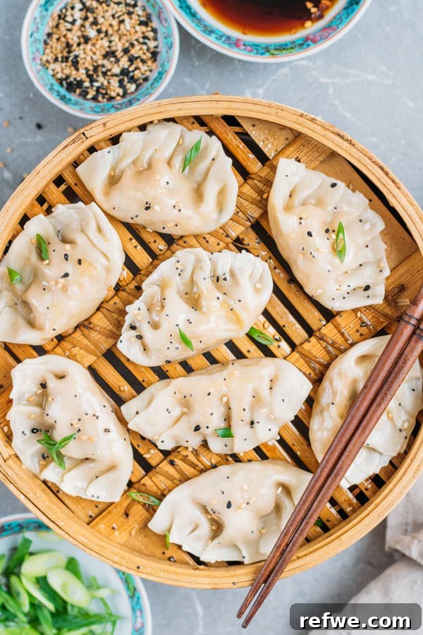 Garden Vegetable Steamed Dumplings 2 Delicious vegetarian steamed dumplings ready to be served