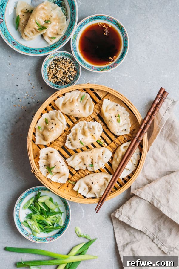 Garden Vegetable Steamed Dumplings 3 A close-up of freshly steamed vegetarian dumplings
