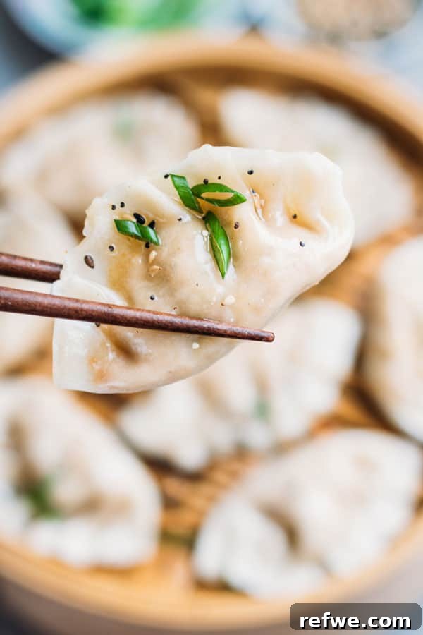 Garden Vegetable Steamed Dumplings 5 Ingredients for vegetarian steamed dumplings laid out