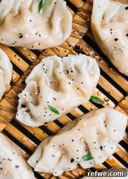 vegetarian steamed dumplings