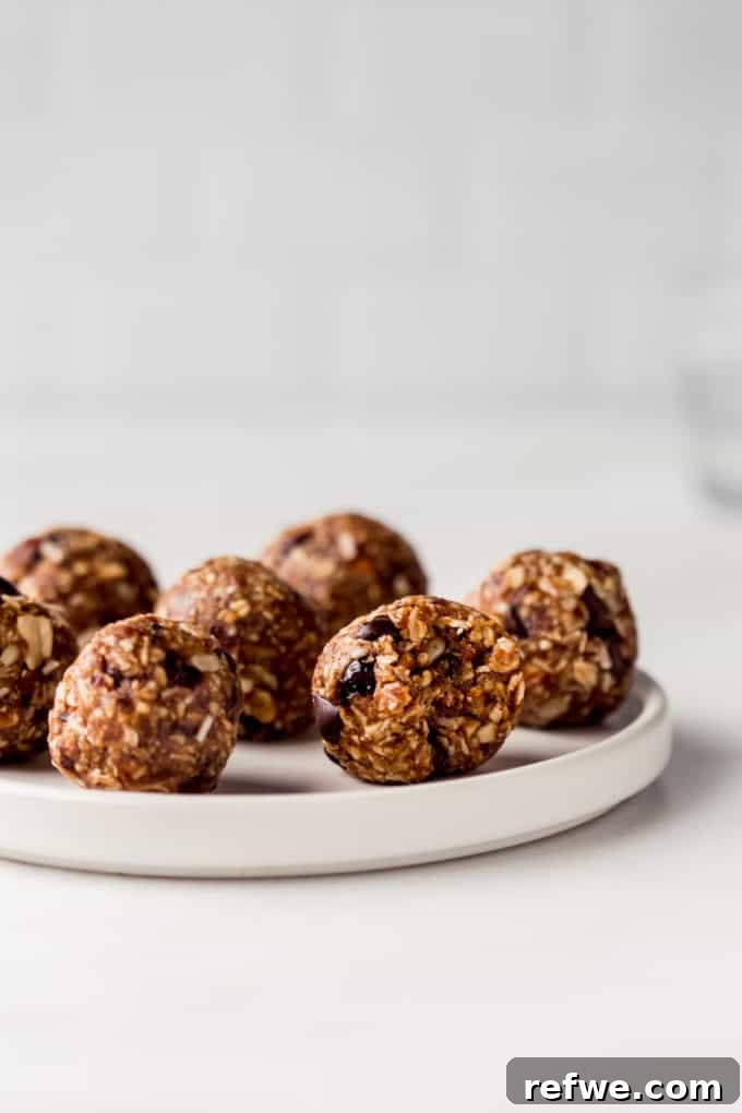 Trailblazer's Power Pods 6 A collection of perfectly rolled trail mix energy bites arranged neatly on a white plate, ready to be chilled and enjoyed.