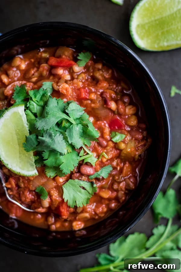 sprouted lentil chipotle chili