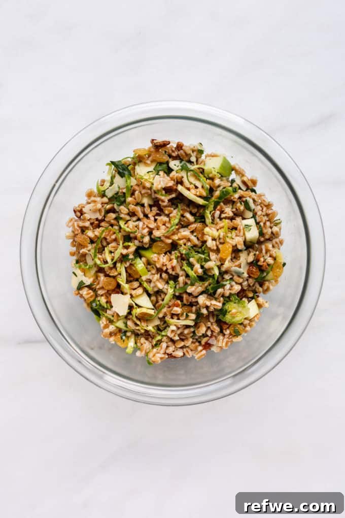A vibrant and fully mixed farro salad, glistening with dressing, showcased in a clear mixing bowl.
