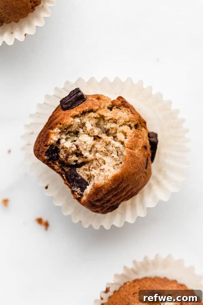 Wholesome Chocolate Chip Banana Muffins 5 A healthy chocolate chunk banana muffin with a bite taken out, revealing its moist interior and melted chocolate.