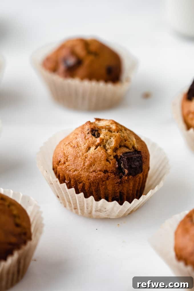 Wholesome Chocolate Chip Banana Muffins 6 A single healthy chocolate chip banana muffin in a paper wrapper, ready to be enjoyed.