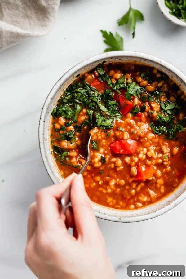 Heartwarming Plant-Based Soups for Cozy Days 13 A rustic bowl of stuffed pepper soup with bell peppers, rice, and lentils.