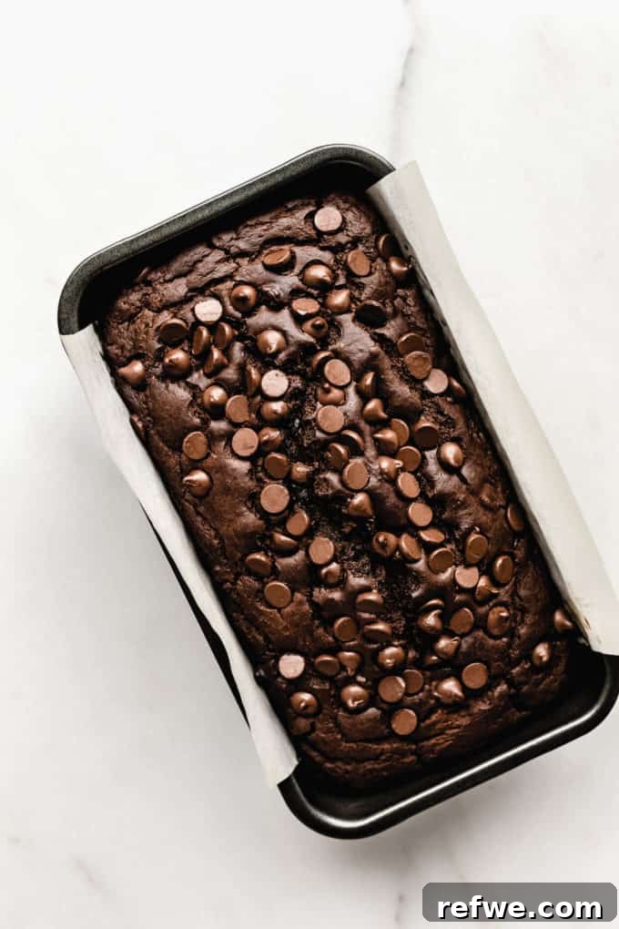 Wholesome Chocolate Pumpkin Delight 7 A perfectly golden-brown loaf of healthy chocolate pumpkin bread, fresh out of the oven, still in its baking pan.