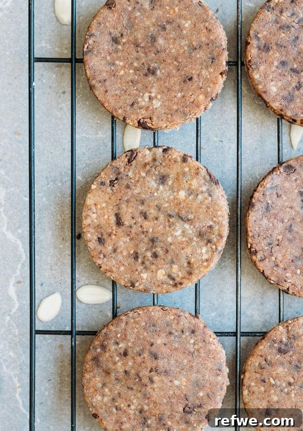 Irresistible No-Bake Chocolate Chip Almond Delights 2 Delicious no-bake chocolate chip almond cookies arranged beautifully on a plate