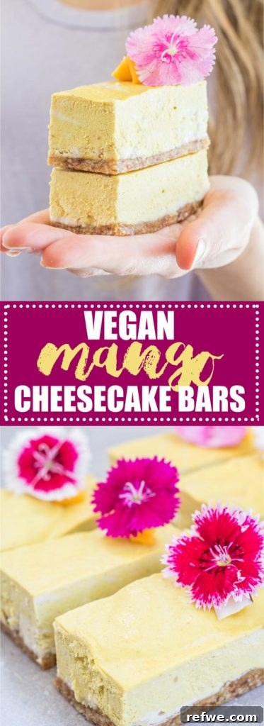 Large image for social sharing: a beautiful arrangement of vegan mango cheesecake bars ready to be enjoyed, with fresh mango slices and coconut flakes elegantly displayed.