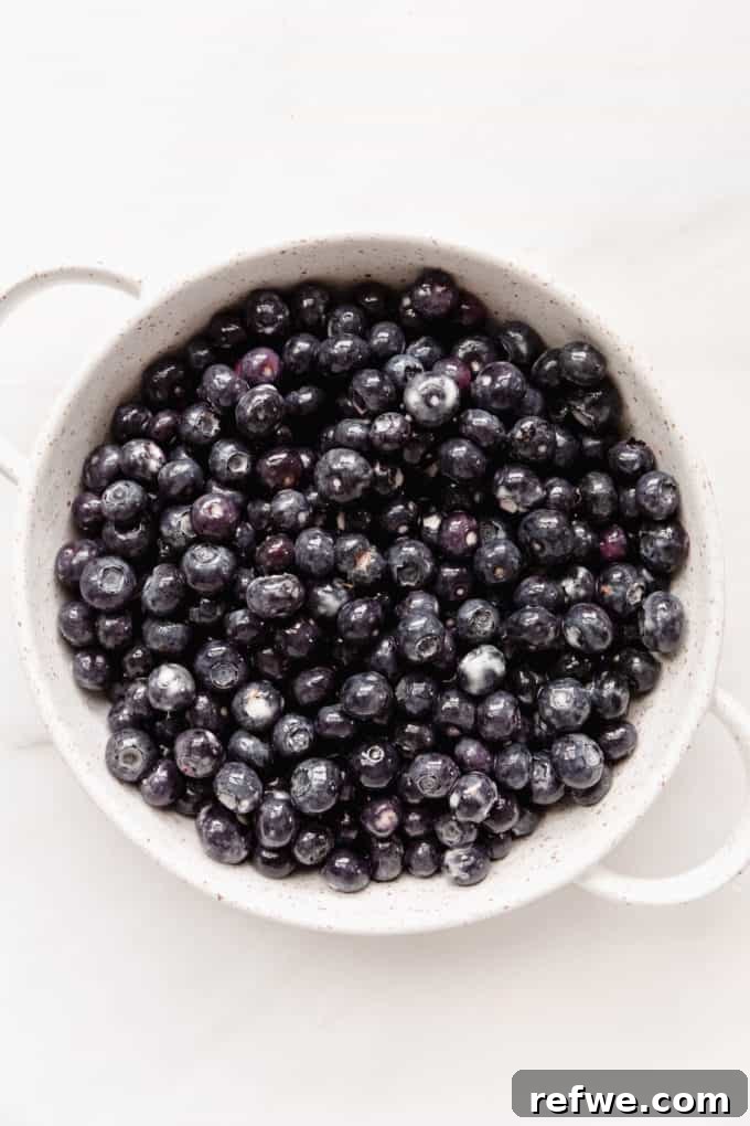 Wholesome Blueberry Crumble 5 Fresh blueberries beautifully arranged in a white ceramic baking dish, ready for the crumble topping.