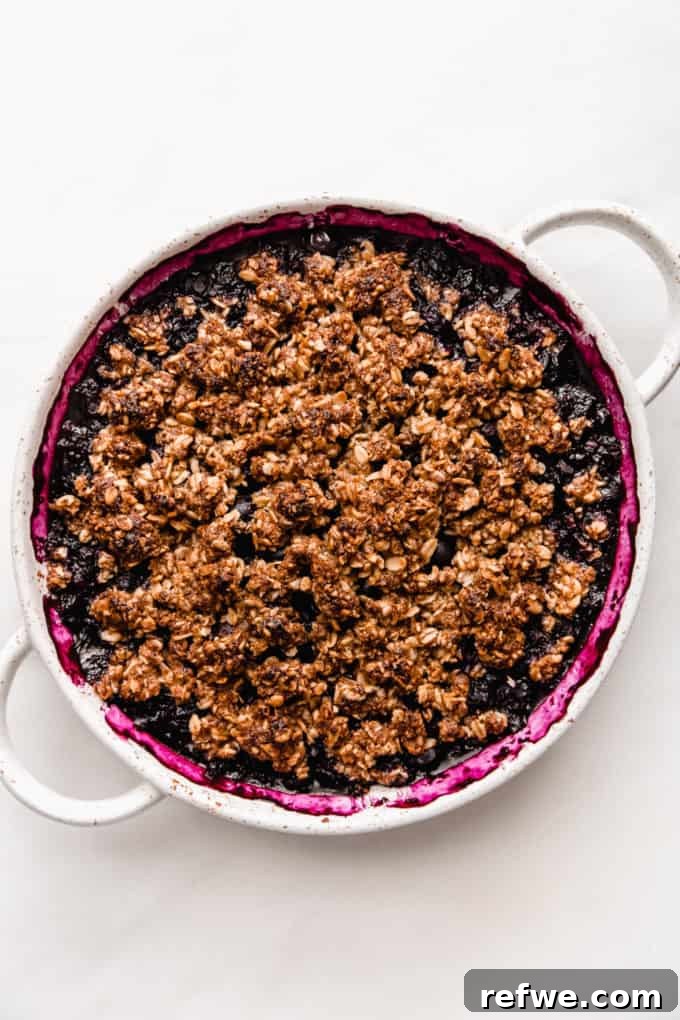 Wholesome Blueberry Crumble 7 A perfectly baked blueberry crisp, golden brown and bubbling, presented in its white ceramic baking dish.