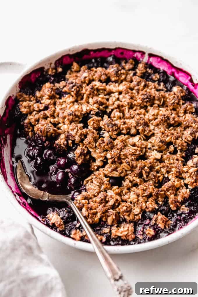 Wholesome Blueberry Crumble 8 A close-up of a serving of blueberry crisp, showing the delicious, textured topping and the rich, fruity filling, with a spoon ready to scoop.
