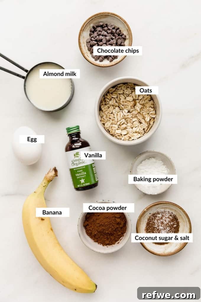 Morning Chocolate Indulgence 3 A flat lay of fresh ingredients for chocolate baked oats, including rolled oats, rich cocoa powder, a ripe banana, and creamy almond milk.