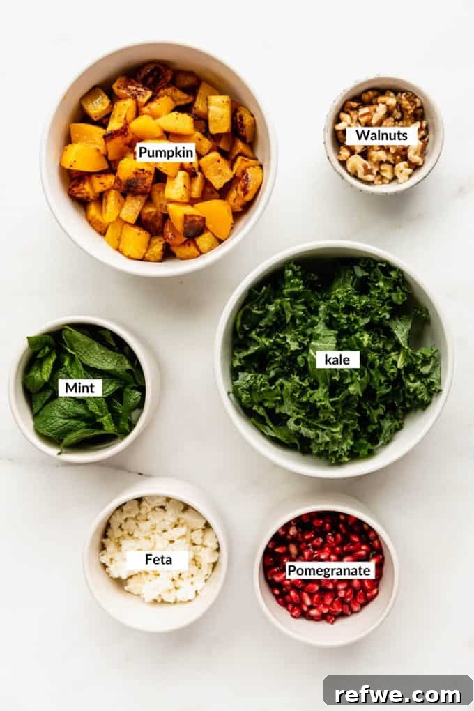 Autumn Roasted Pumpkin Salad 3 A flat lay photograph showcasing all the fresh and colorful ingredients laid out on a surface, ready to be prepared for the roasted pumpkin salad.