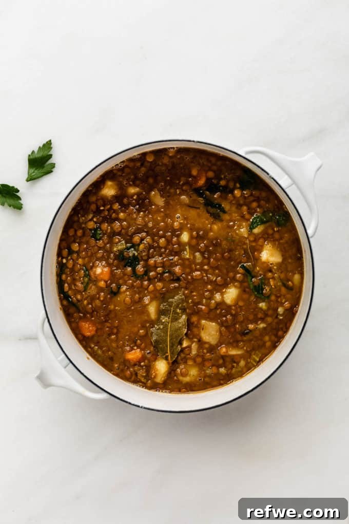 Nourishing Plant-Based Lentil Stew 8 Cooked lentil stew in a white pot with spinach being stirred in