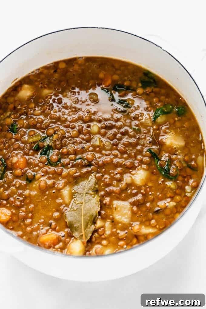 Nourishing Plant-Based Lentil Stew 9 A pot of finished lentil stew, ready to be served
