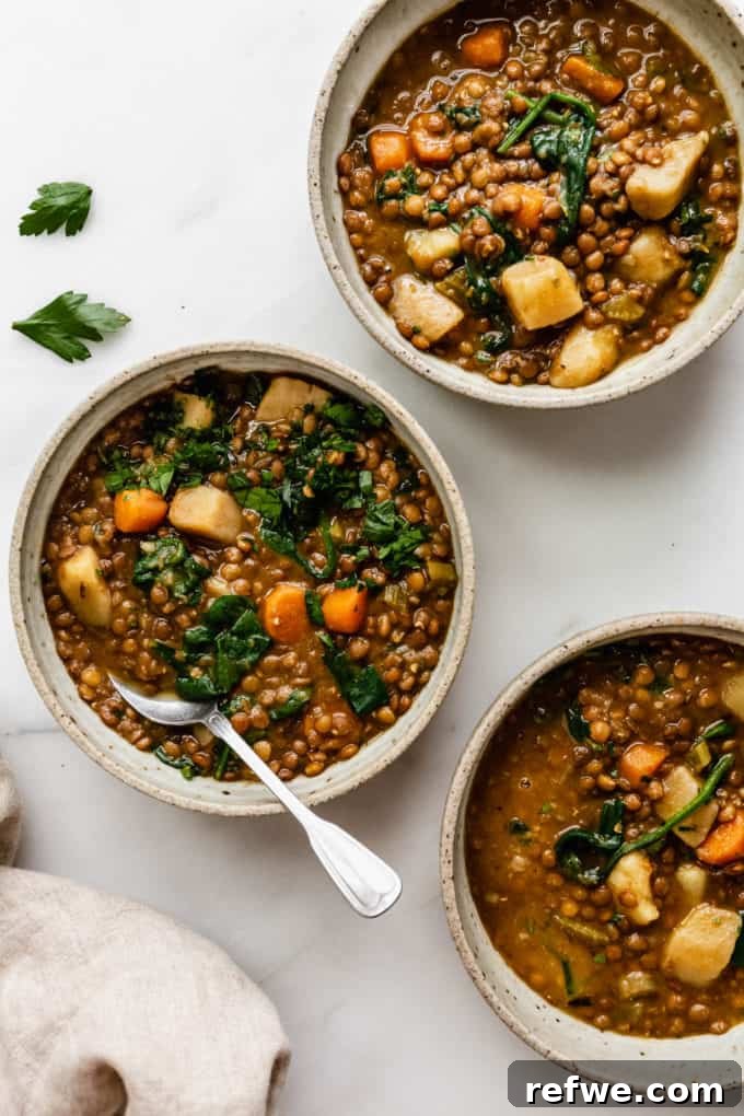 Nourishing Plant-Based Lentil Stew 10 three bowls of lentil stew with fresh parsley on top