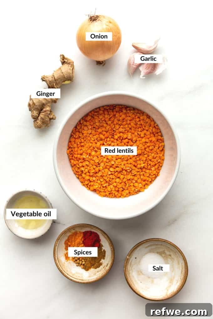 A spread of fresh ingredients, including red lentils, onions, garlic, ginger, and various spices, ready for making dahl.