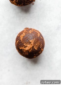 A perfectly shaped gingerbread truffle adorned with a dusting of cocoa, signifying a delightful no-bake treat.