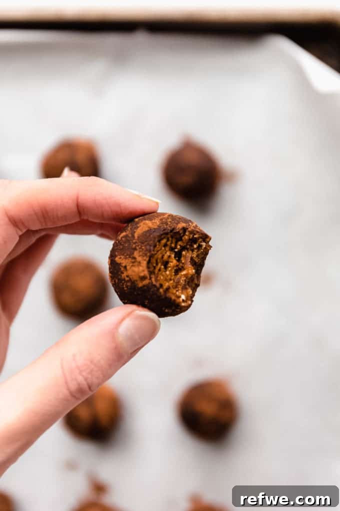 Holiday Gingerbread Dough Bites 9 A hand holding a perfectly formed gingerbread truffle with a bite taken out, revealing its soft, cookie dough-like interior.